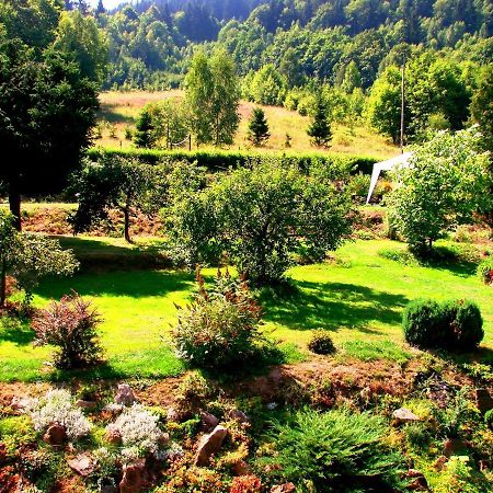 Agroturystyka Gluszyca Lomnica Lomnica  Екстериор снимка