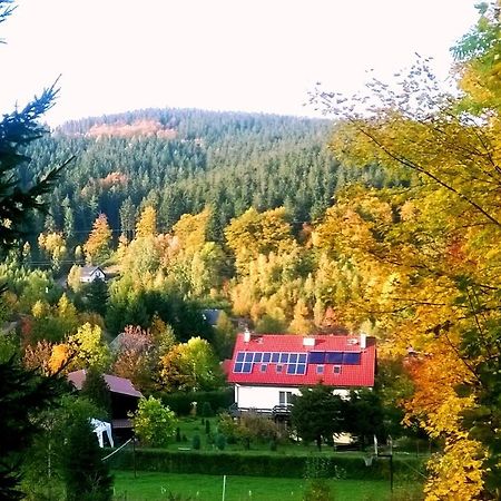 Agroturystyka Gluszyca Lomnica Lomnica  Екстериор снимка