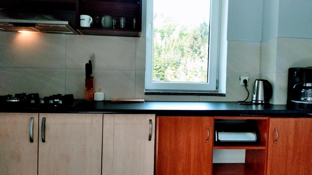Agroturystyka Gluszyca Lomnica Lomnica  Екстериор снимка